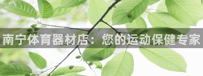 星欧娱乐扣款时间查询方法怎么查：南宁体育器材店：您的